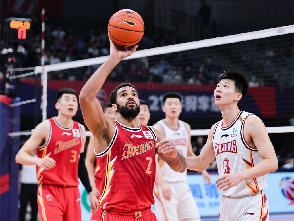 领域的体育 领域的体育